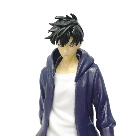 Solo Leveling: (Anime Version) Figure -Sung Jinwoo Action Figure 21cm PVC Collect Model Figure Display Anime Merchandise